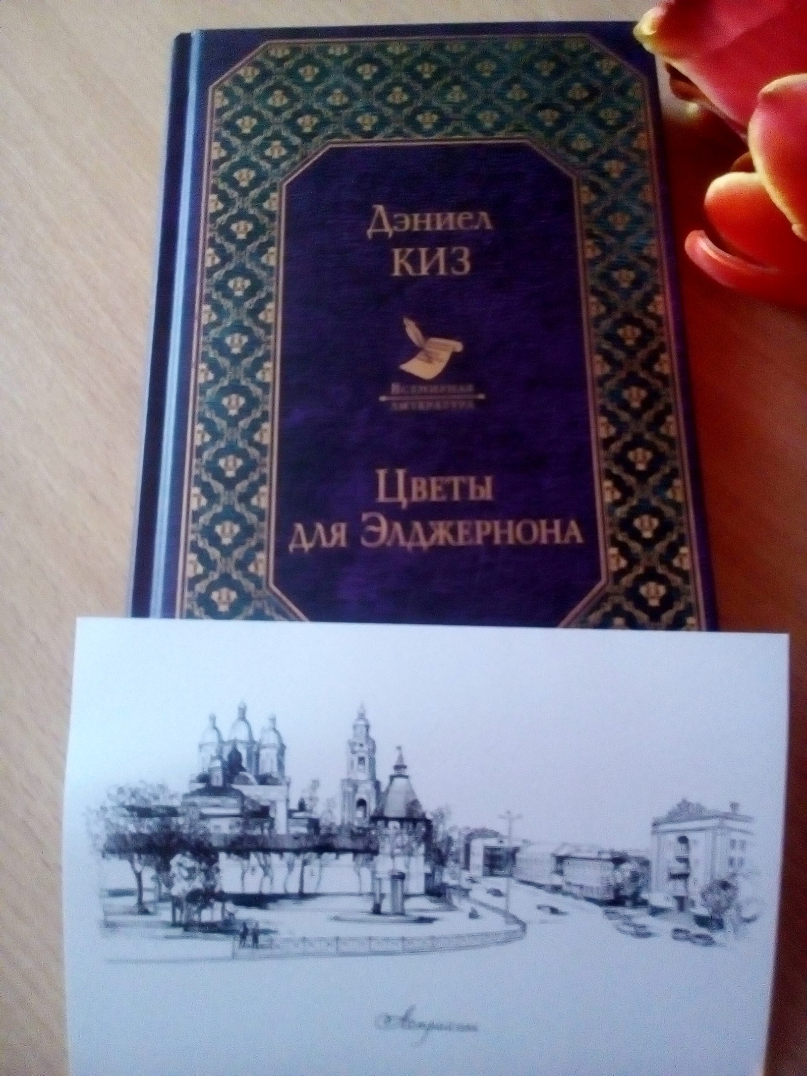 Report of the Received Book of Netmog Martha (Flowers for Algernon) - My, Naberezhnye Chelny, Gift exchange, Bookcrossing, Joy, Longpost, Gift exchange report, Astrakhan