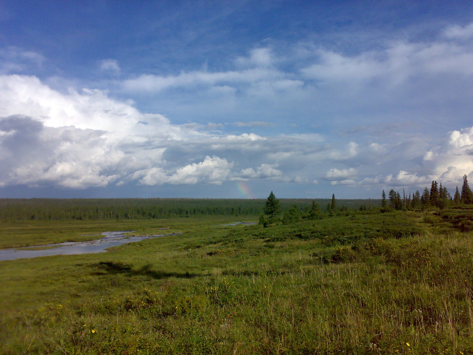 Nostalgia. Yakutia. Mirkugu - My, Butterfly, Nature, Yakutia, beauty