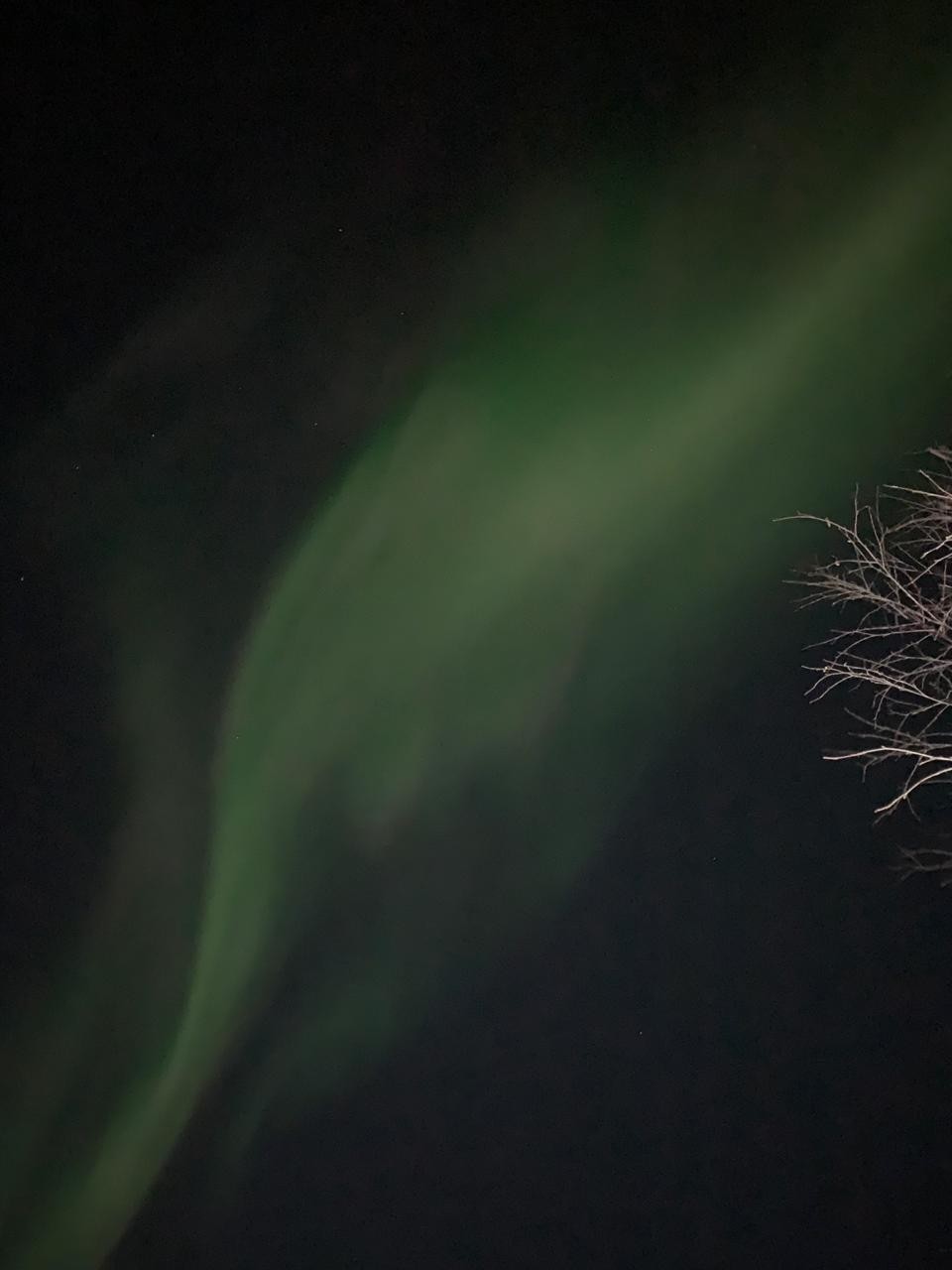 Shoemaker without shoes. - My, Murmansk, Vacation, Crab, Longpost, Polar Lights, Fasting April 1, 2019