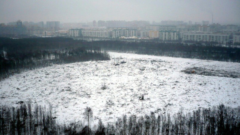 EcoPark ? - Forest Park, Ecopark, , Saint Petersburg, Ilya Varlamov, Longpost