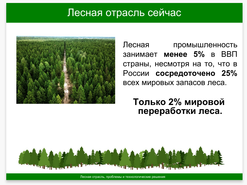 Проблемой лесной отрасли России занялись серьезно - Моё, Лес, Презентация, Глобальные проблемы, Решение проблемы, Слайды, Длиннопост