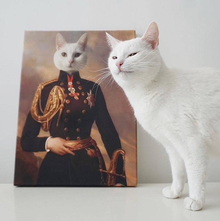 When he tried to hide his nobility... but failed... - Defective cat, Greatness, cat