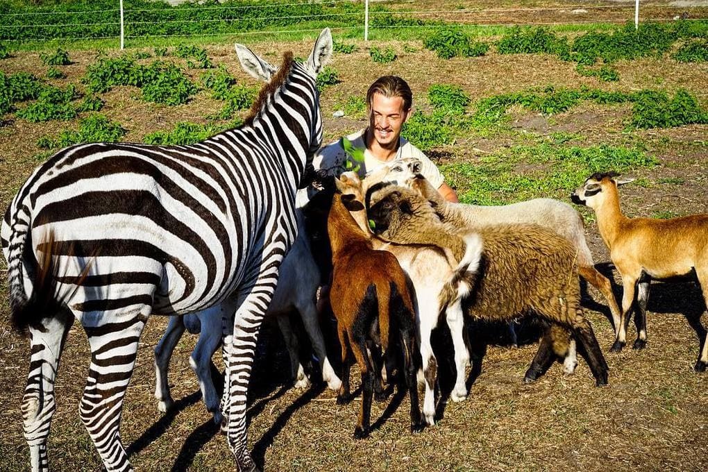 A 26-year-old guy quit his prestigious job, sold his property and went to Africa to save wild animals. - Africa, a lion, Animals, Longpost, Dean Schneider