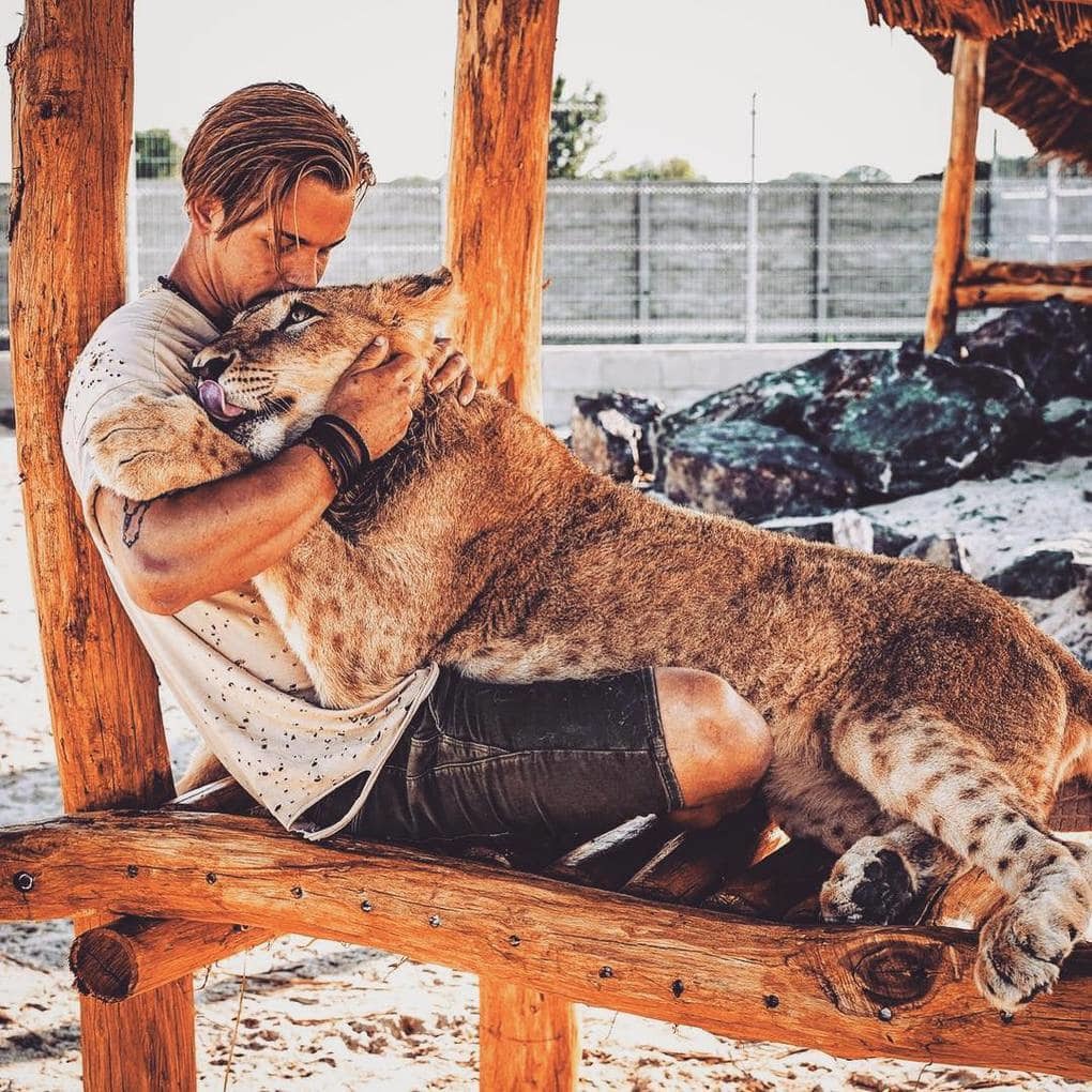 A 26-year-old guy quit his prestigious job, sold his property and went to Africa to save wild animals. - Africa, a lion, Animals, Longpost, Dean Schneider