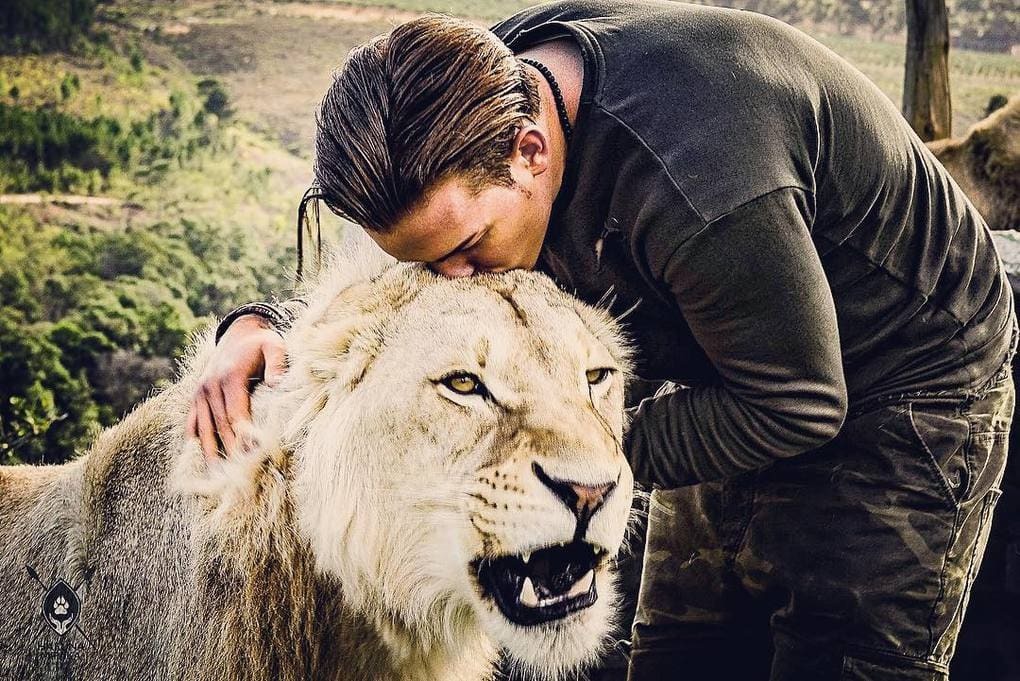 A 26-year-old guy quit his prestigious job, sold his property and went to Africa to save wild animals. - Africa, a lion, Animals, Longpost, Dean Schneider