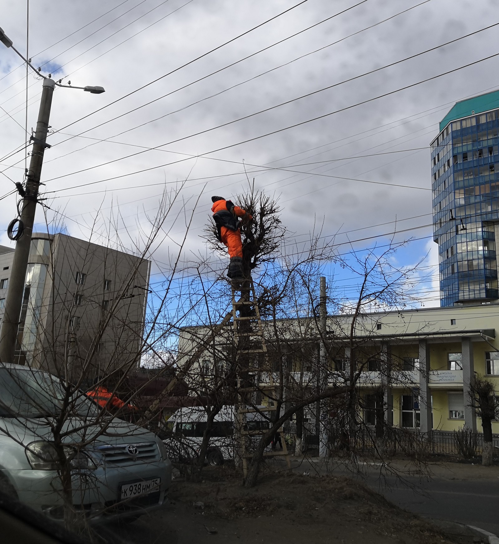 Spring... housing and communal services have arrived... - Housing and communal services, Spring, Nest, Pruning