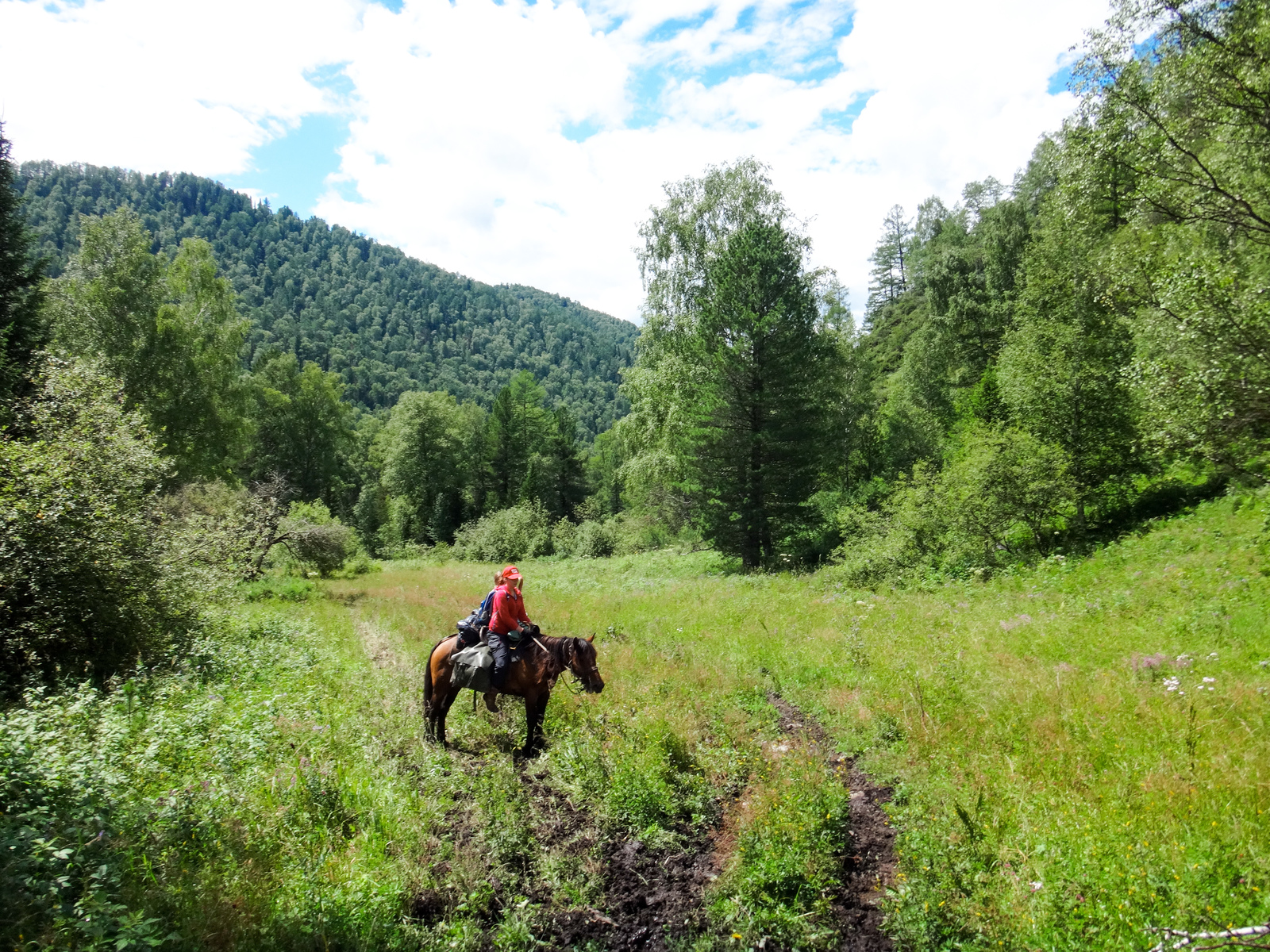 Koony trip across Altai. - My, Hike, The photo, Mountain Altai, Horses, Longpost, Altai Republic