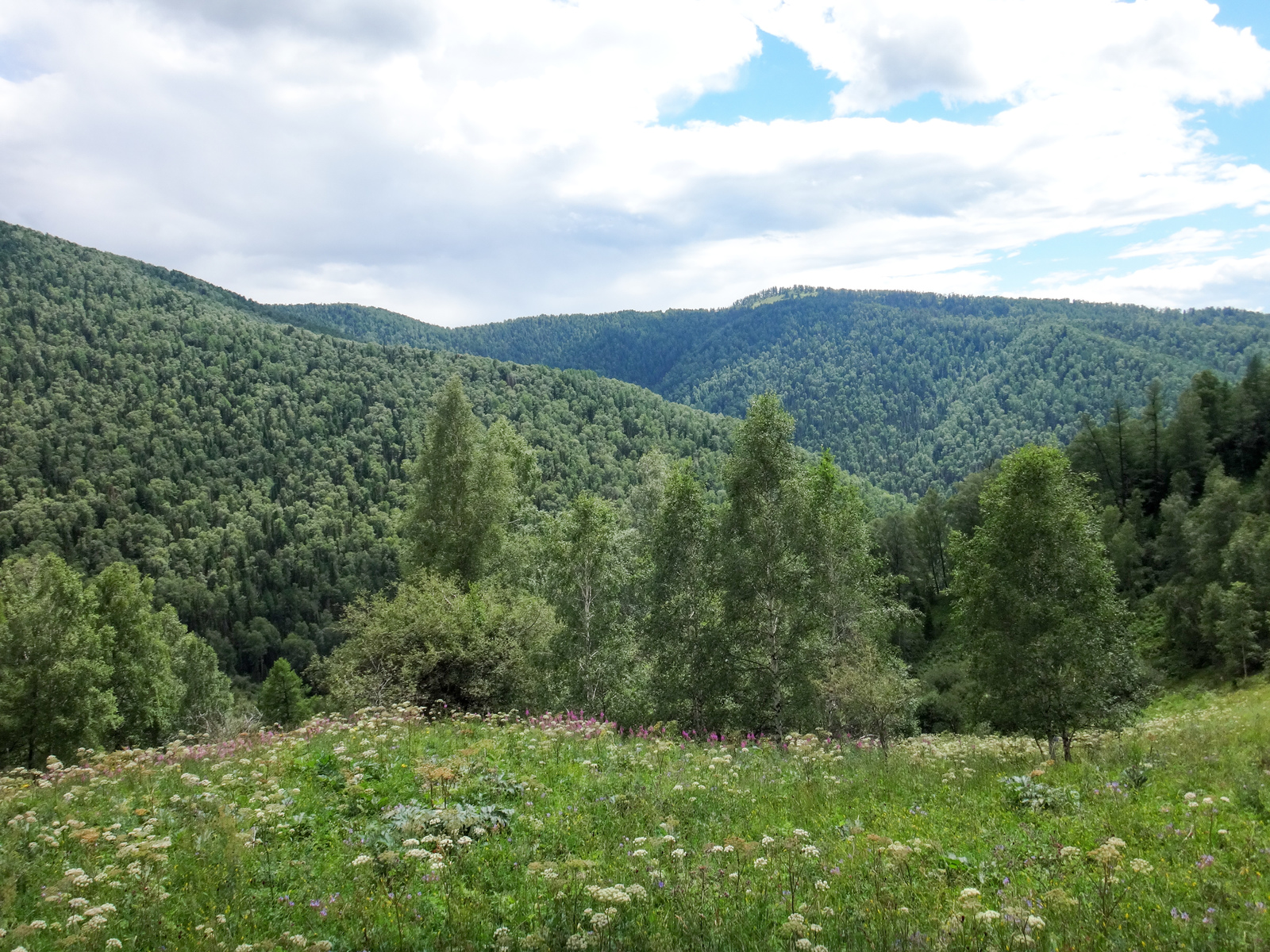 Koony trip across Altai. - My, Hike, The photo, Mountain Altai, Horses, Longpost, Altai Republic