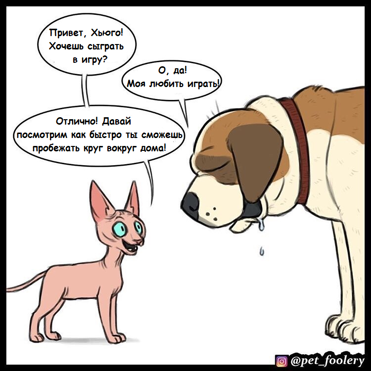 Sweet revenge - cat, Dog, Comics, Translated by myself, Pets, Pet foolery, Longpost, Lola and Mr. Wrinkle