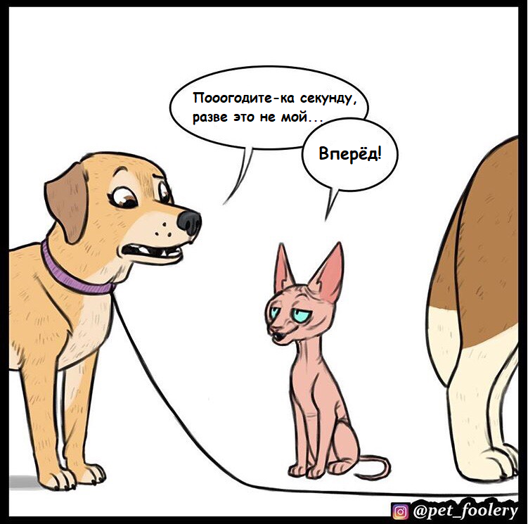 Sweet revenge - cat, Dog, Comics, Translated by myself, Pets, Pet foolery, Longpost, Lola and Mr. Wrinkle