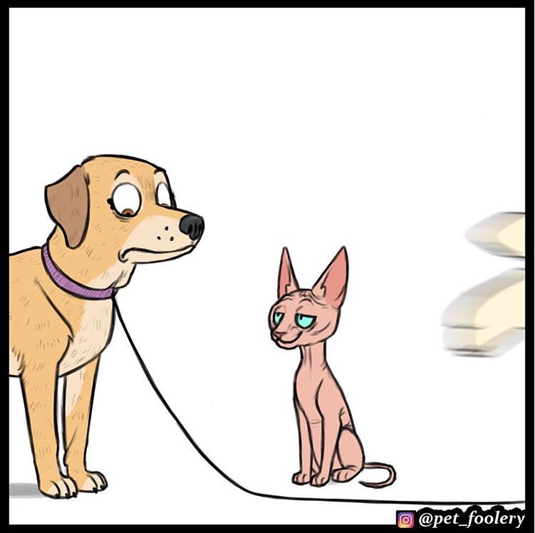 Sweet revenge - cat, Dog, Comics, Translated by myself, Pets, Pet foolery, Longpost, Lola and Mr. Wrinkle