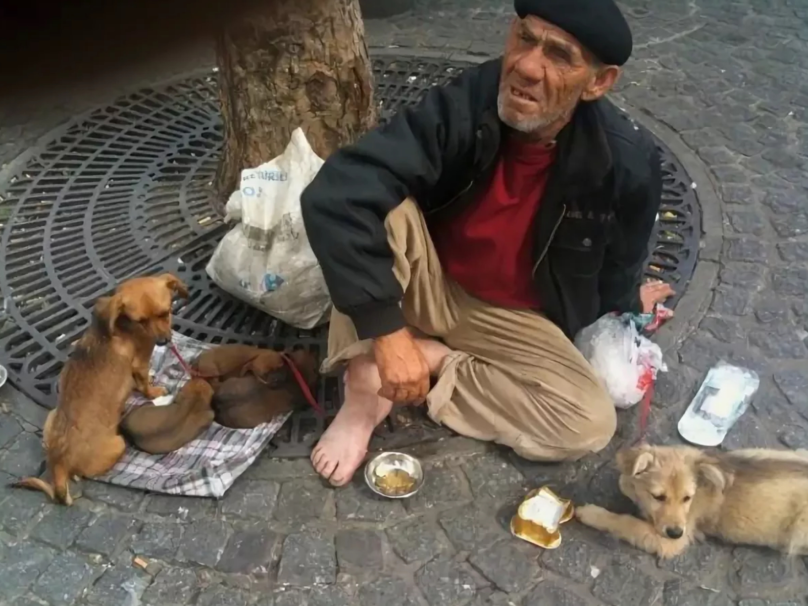 Modern beggars in the subway and train stations. - Beggars, Beggars on the subway, , Longpost, Beggars