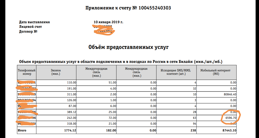 More than 5000 rubles for mobile Internet - My, Beeline, Internet, Sadness, Longpost