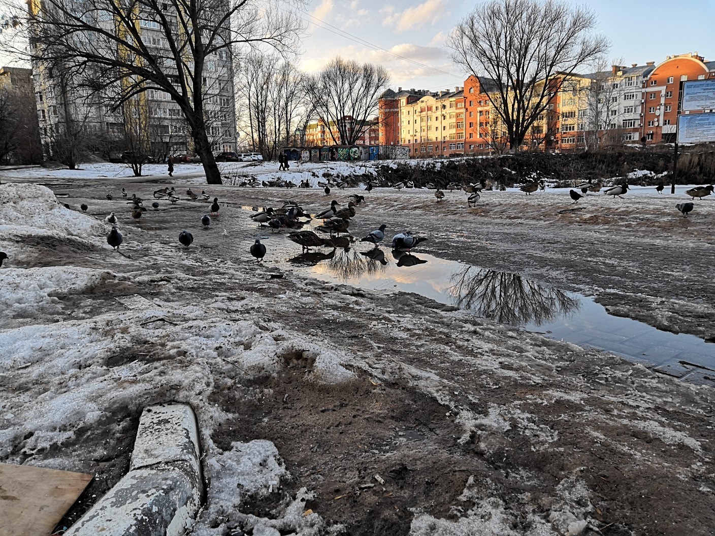 News of my city - Spring, Water, Tver, Cityscapes, Off road, Longpost, Street photography