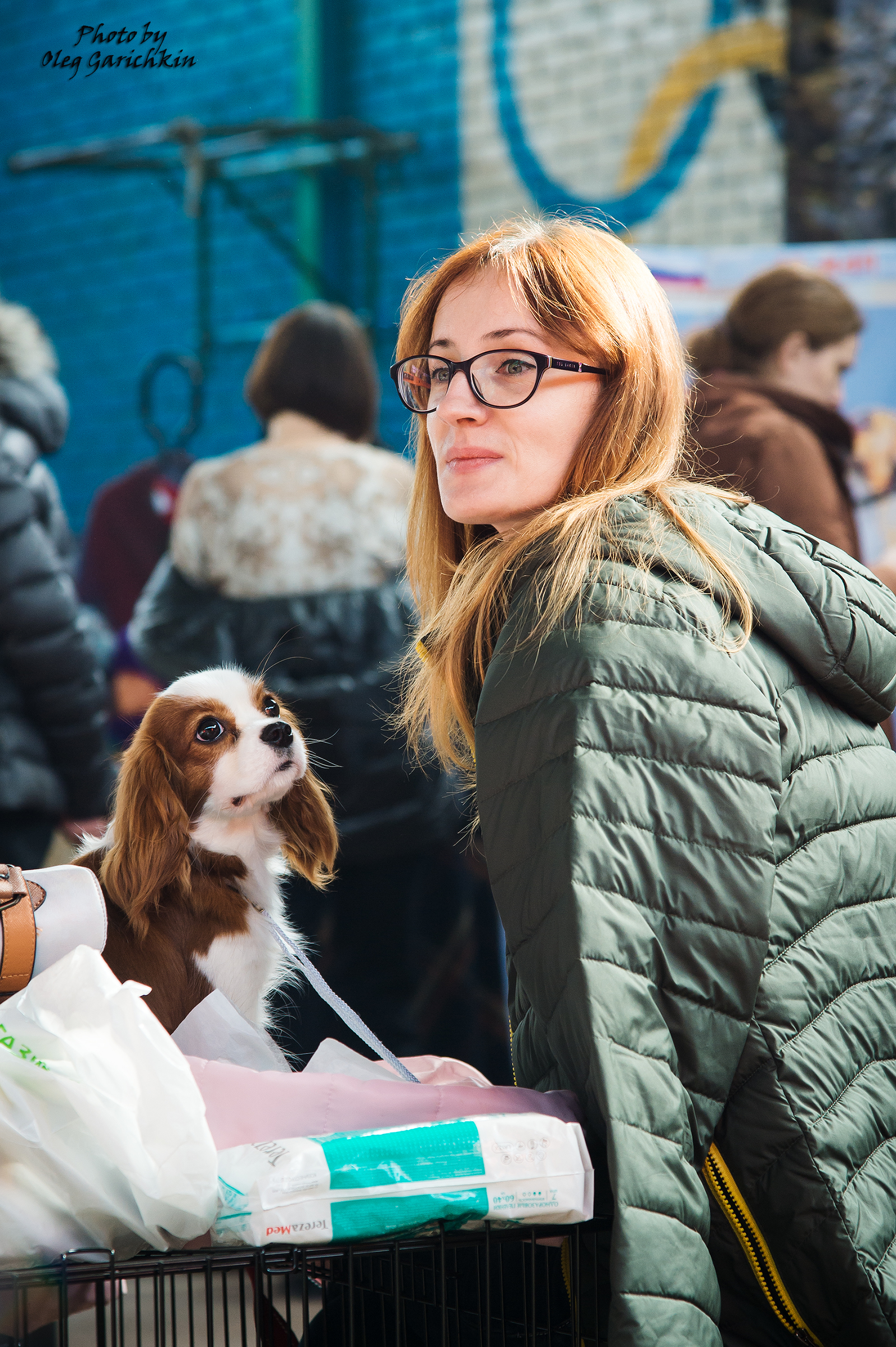 I bring to your attention a number of reportage pictures from dog shows held in 2018 in the South of Russia, enjoy watching))) - My, Dog, Dogs and people, Exhibition, Dog show, Animalistics, Longpost, Pets