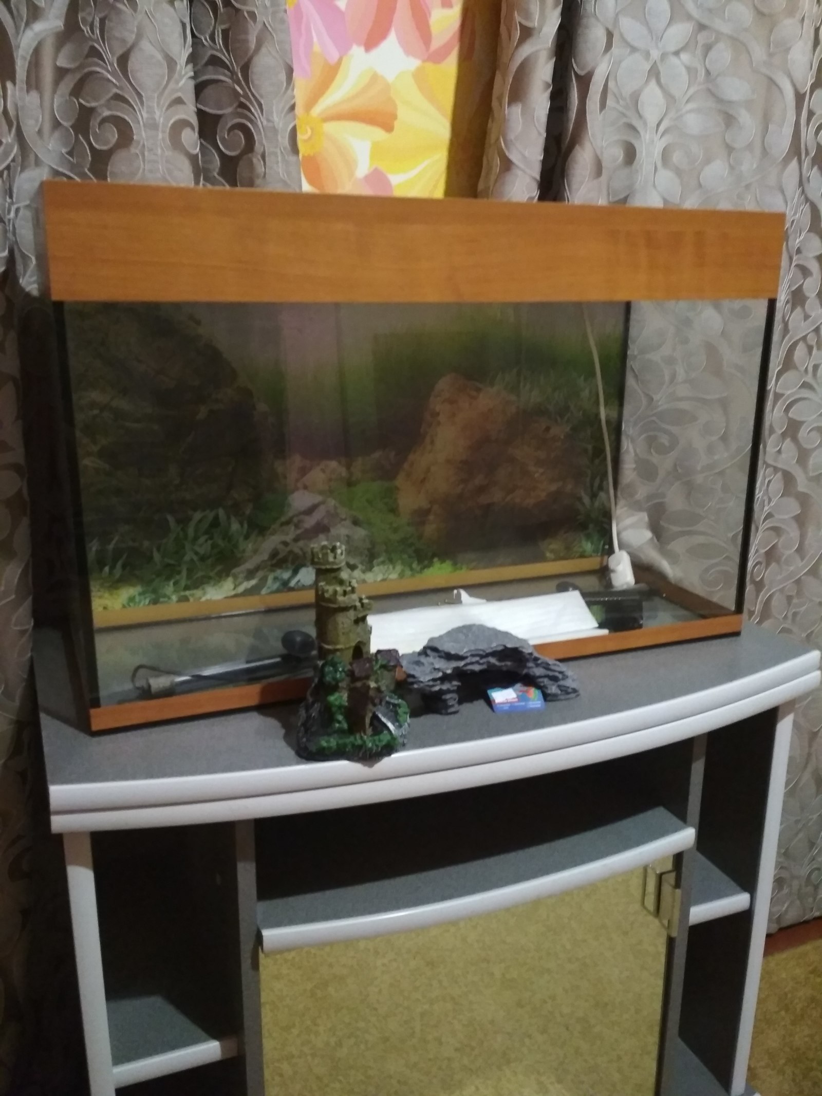 Need help starting a 70-80 liter aquarium. - My, Aquascape, Aquarium, Aquarium, Aquarium fish, Longpost