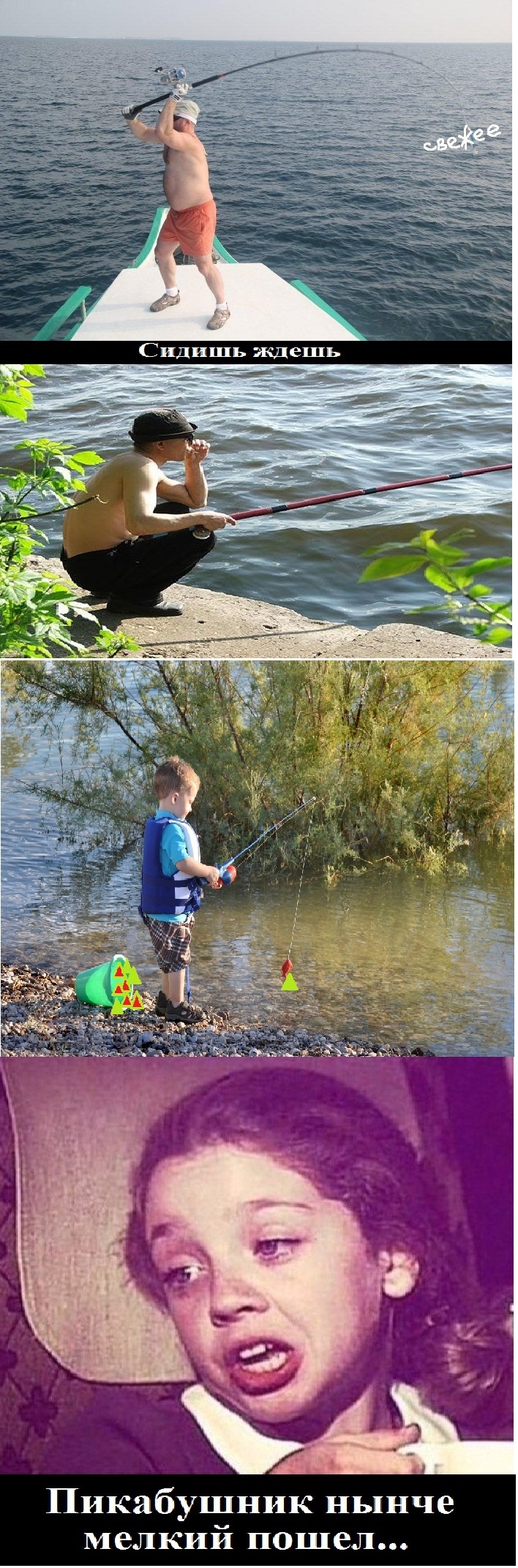 Пикабу Свежее Фото