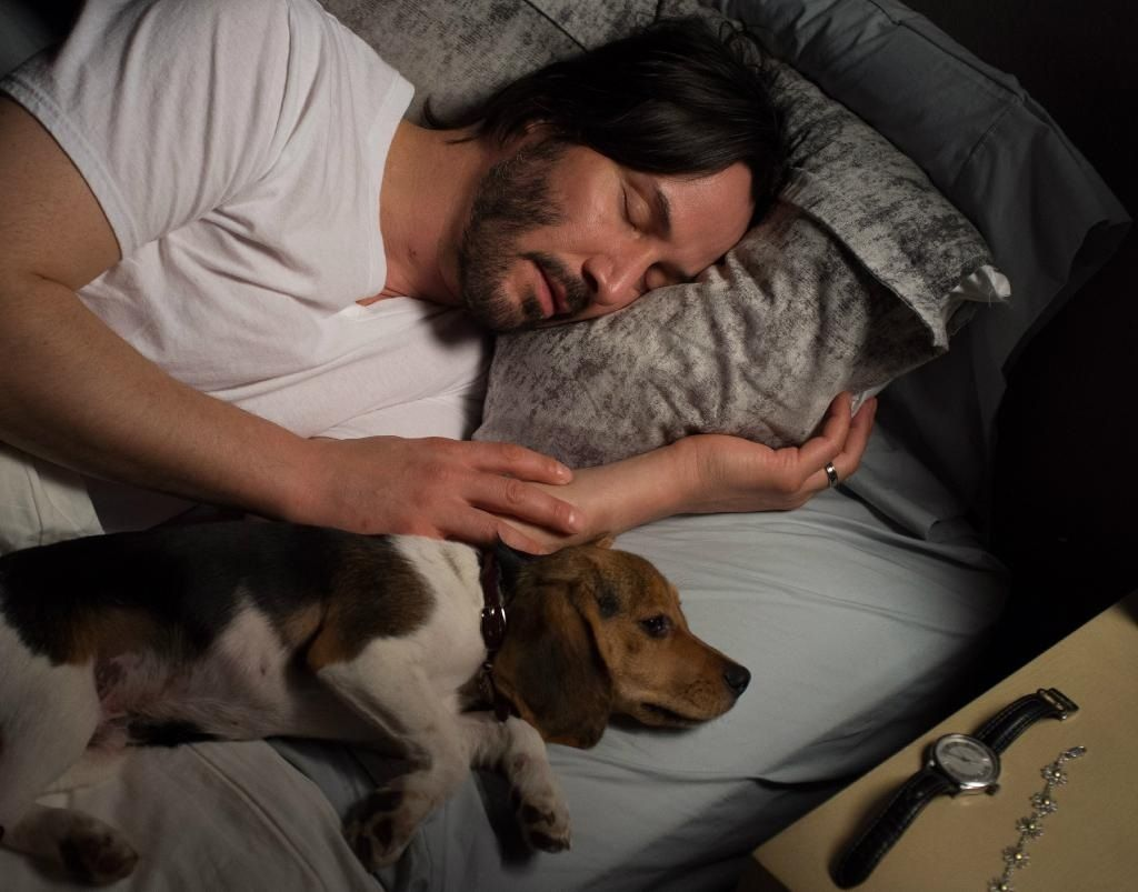 With friend - Dog, Dream, Clock, Keanu Reeves, Take a picture of the type, John Wick
