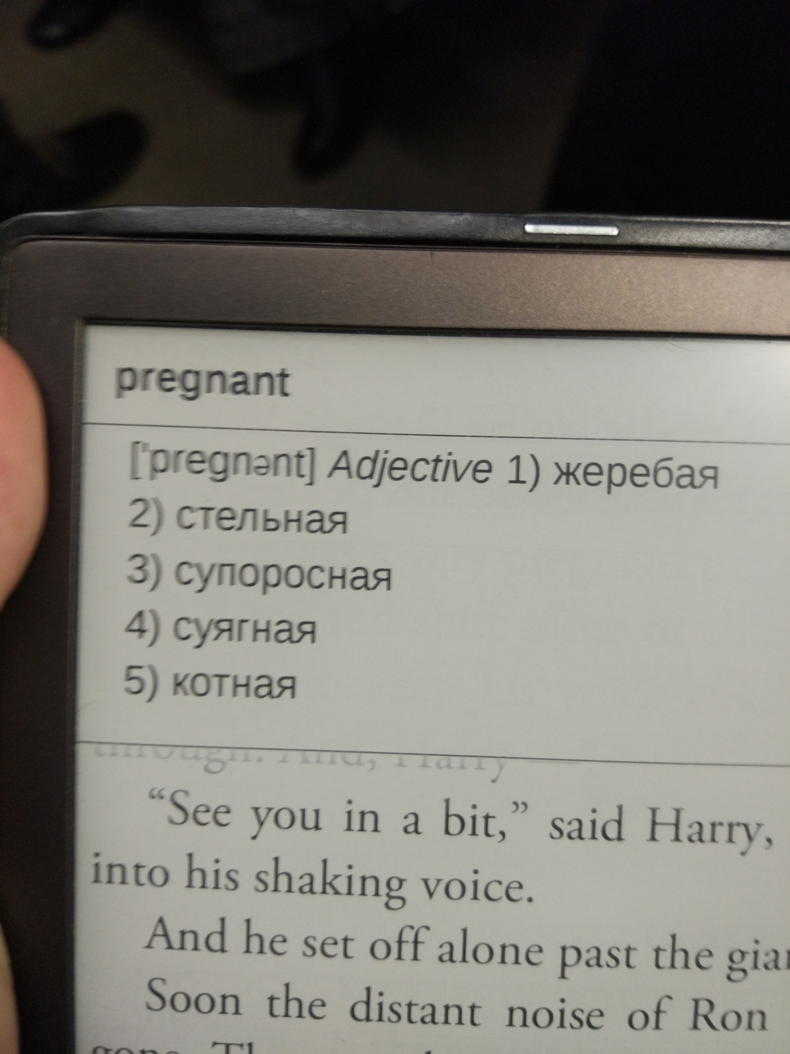 Спасибо переводчик, стало куда понятнее... - Моё, Перевод, Pocketbook, Гарри Поттер, Книги