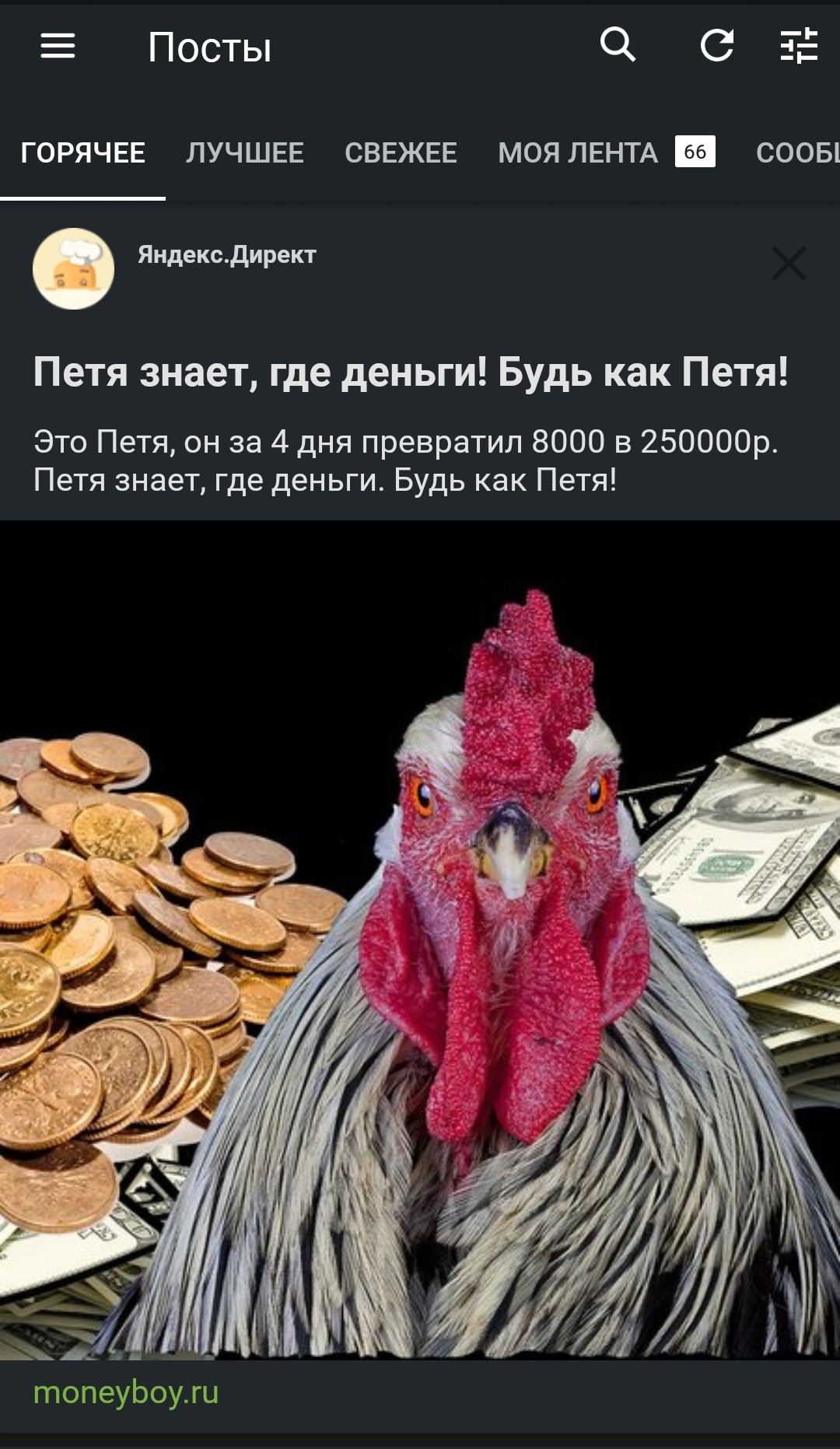 To be or not to be? - Yandex Direct, Rooster