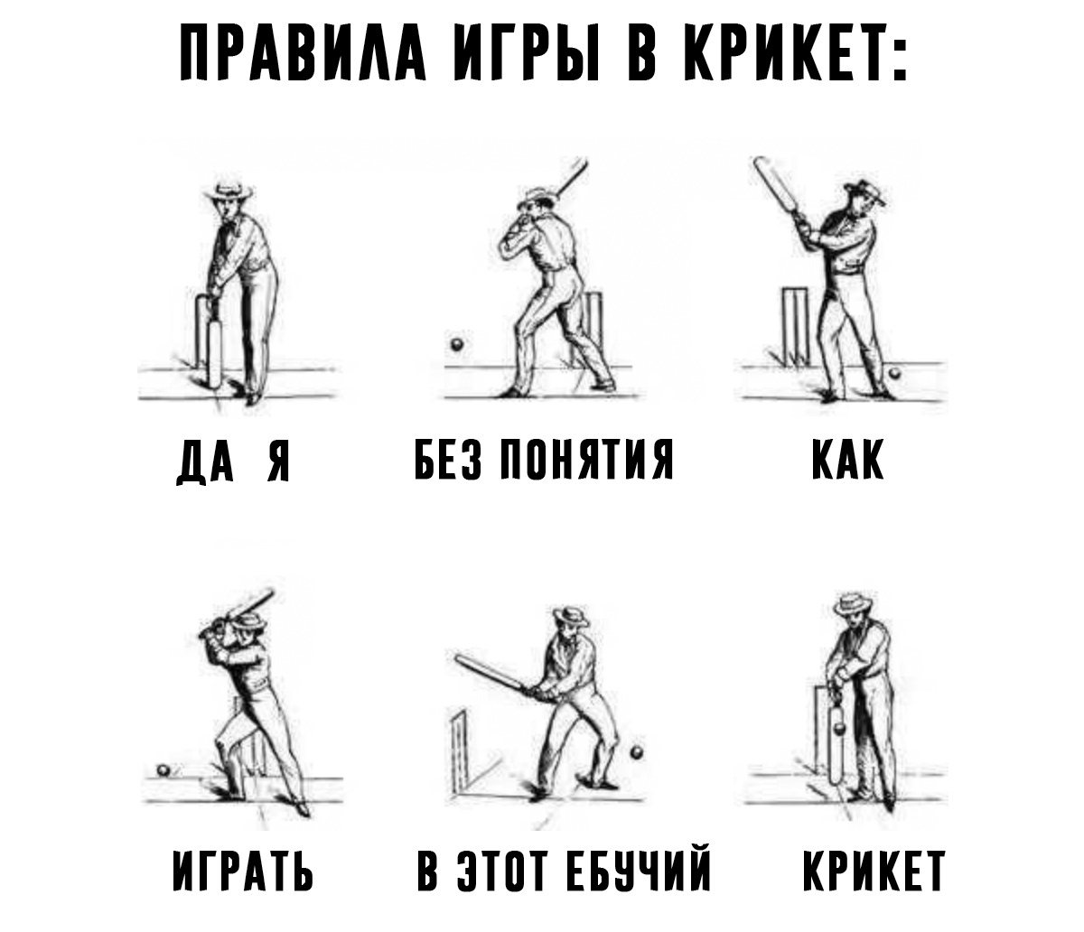 Cricket - Sport, Mat, Funny, Humor, Cricket