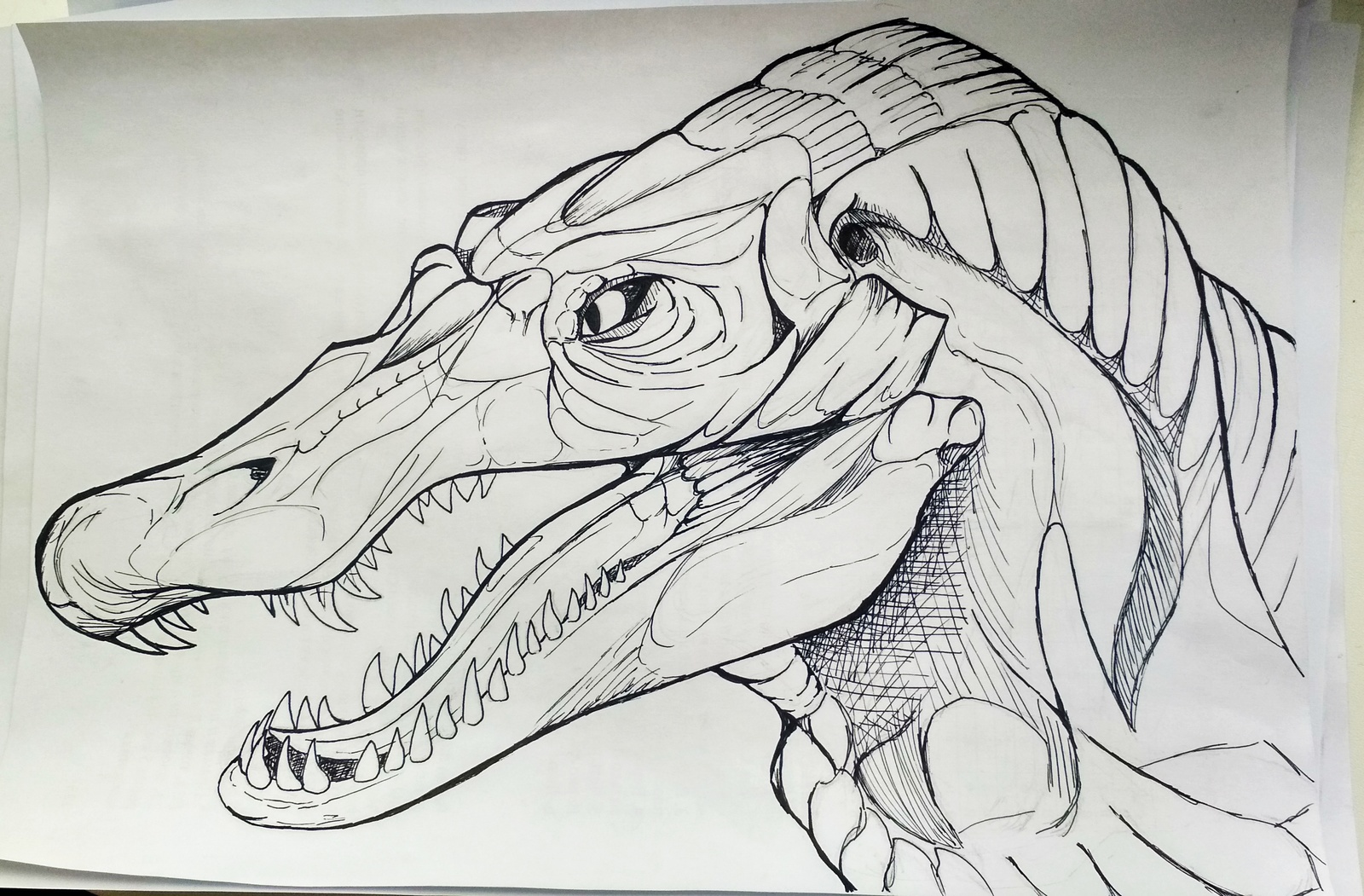 Глаз динозавра рисунок