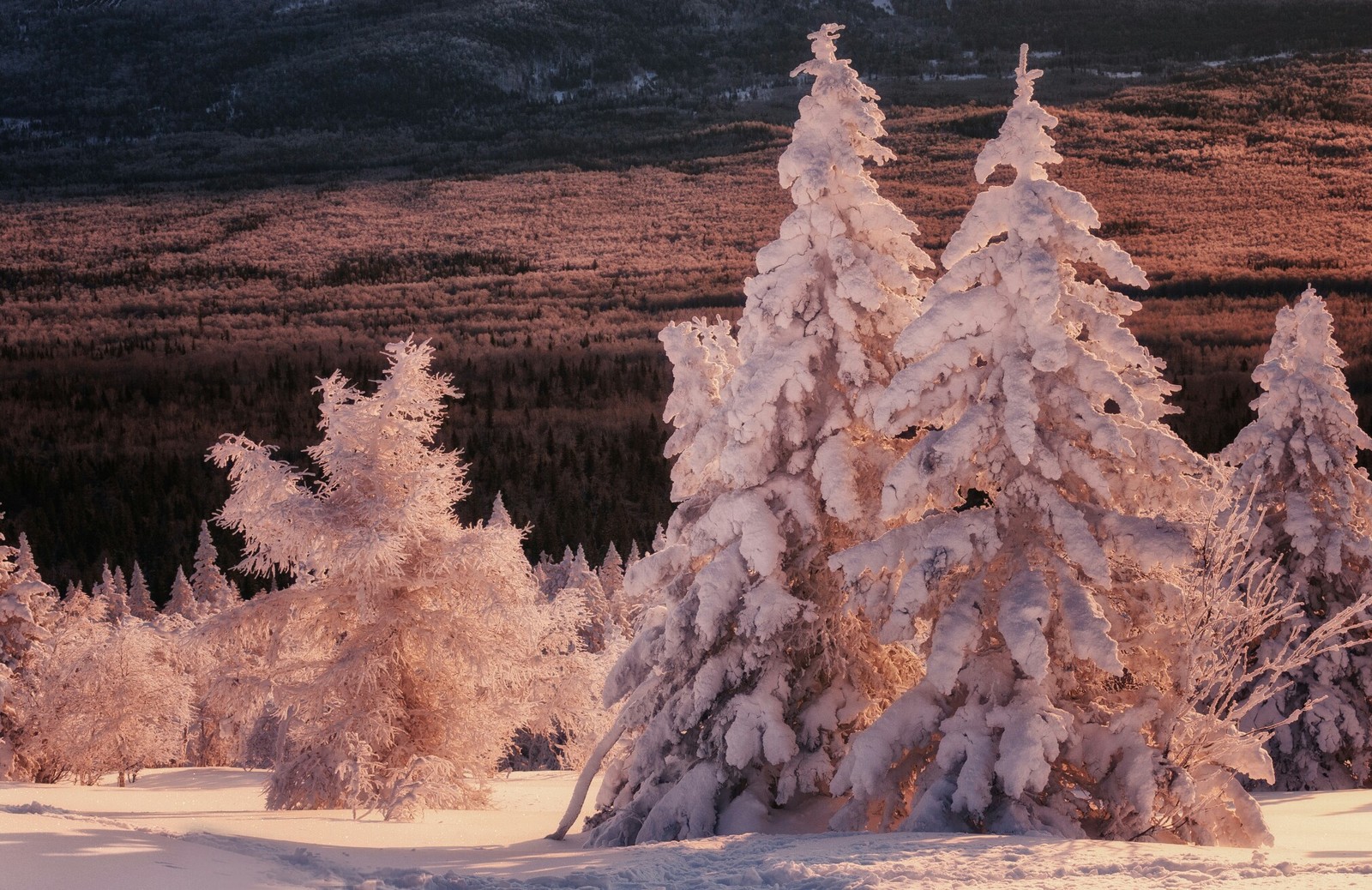 Winter on Urenga - Ural, Southern Urals, The mountains, Urenga, Tourism, Chelyabinsk region, The photo, Nature