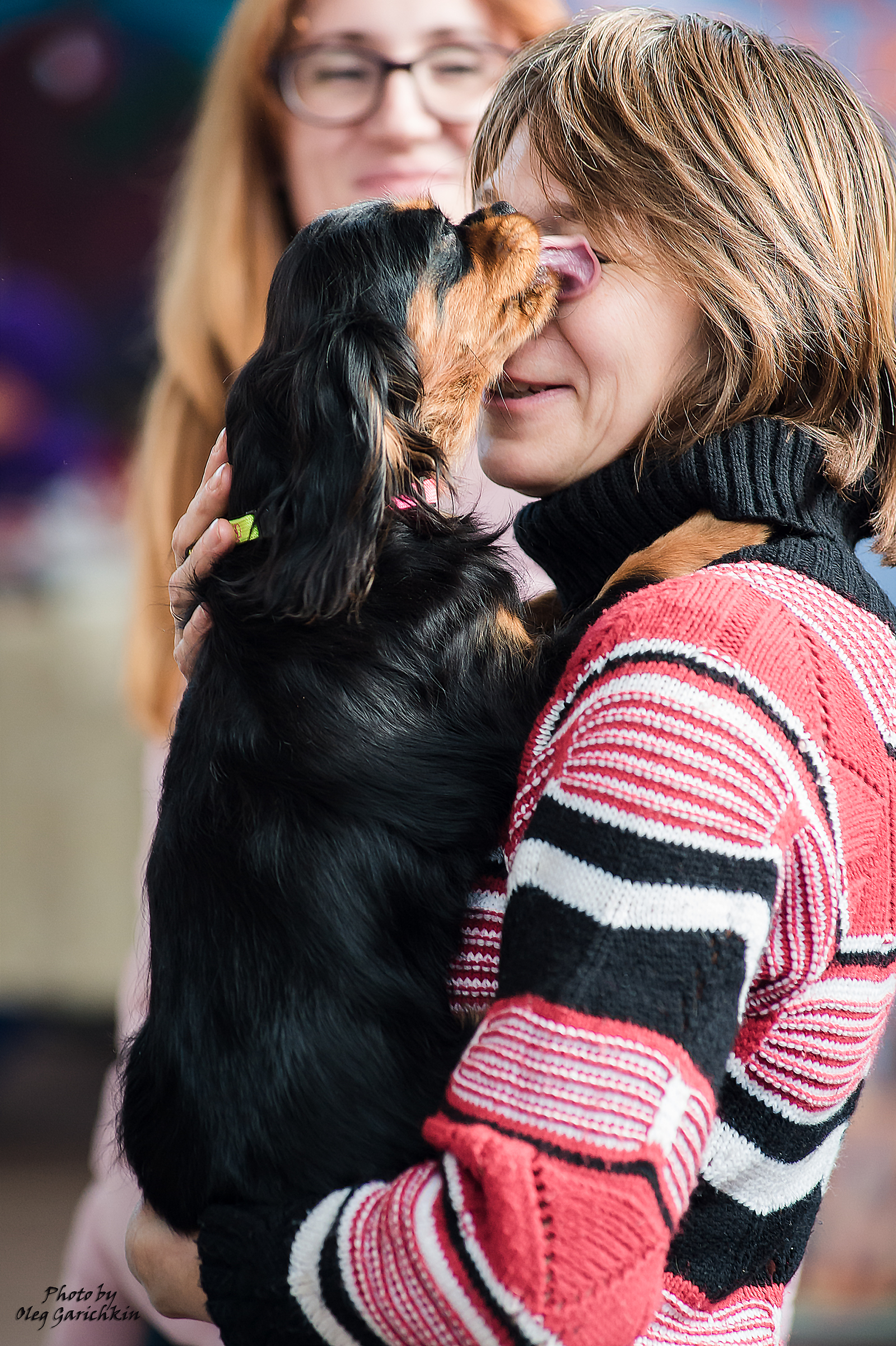 I continue to replenish the tape with reportage pictures from dog shows held in the South of Russia in 2018, enjoy watching))) - My, Dog, Dogs and people, Exhibition, Dog show, Animalistics, The photo, , Longpost