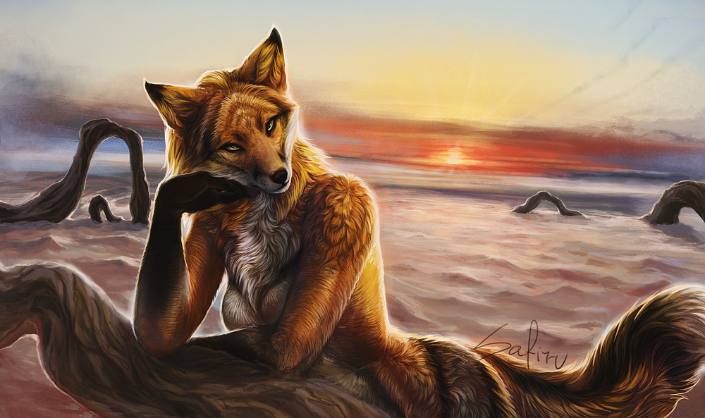 Sunset - , Furry, Furry edge, Landscape, Fox, Beach, Safiru