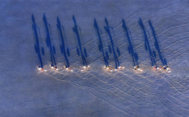 Shadows cast by female salt workers in Hon Khoi, the largest salt mine in central Vietnam, - Shadow, Vietnam, Salt, The photo