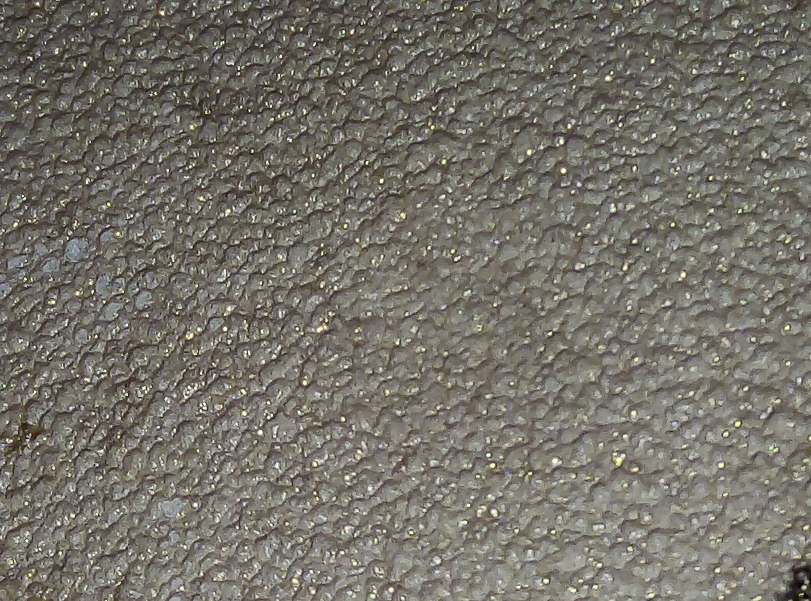 Under phone magnification. - My, Camera, Microscope, Telephone, Longpost, Increase