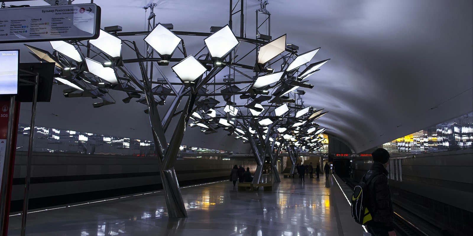 Troparevo station, Sokolnicheskaya line (1) - My, Metro, Moscow, The photo, Tree, Bloom, Spring