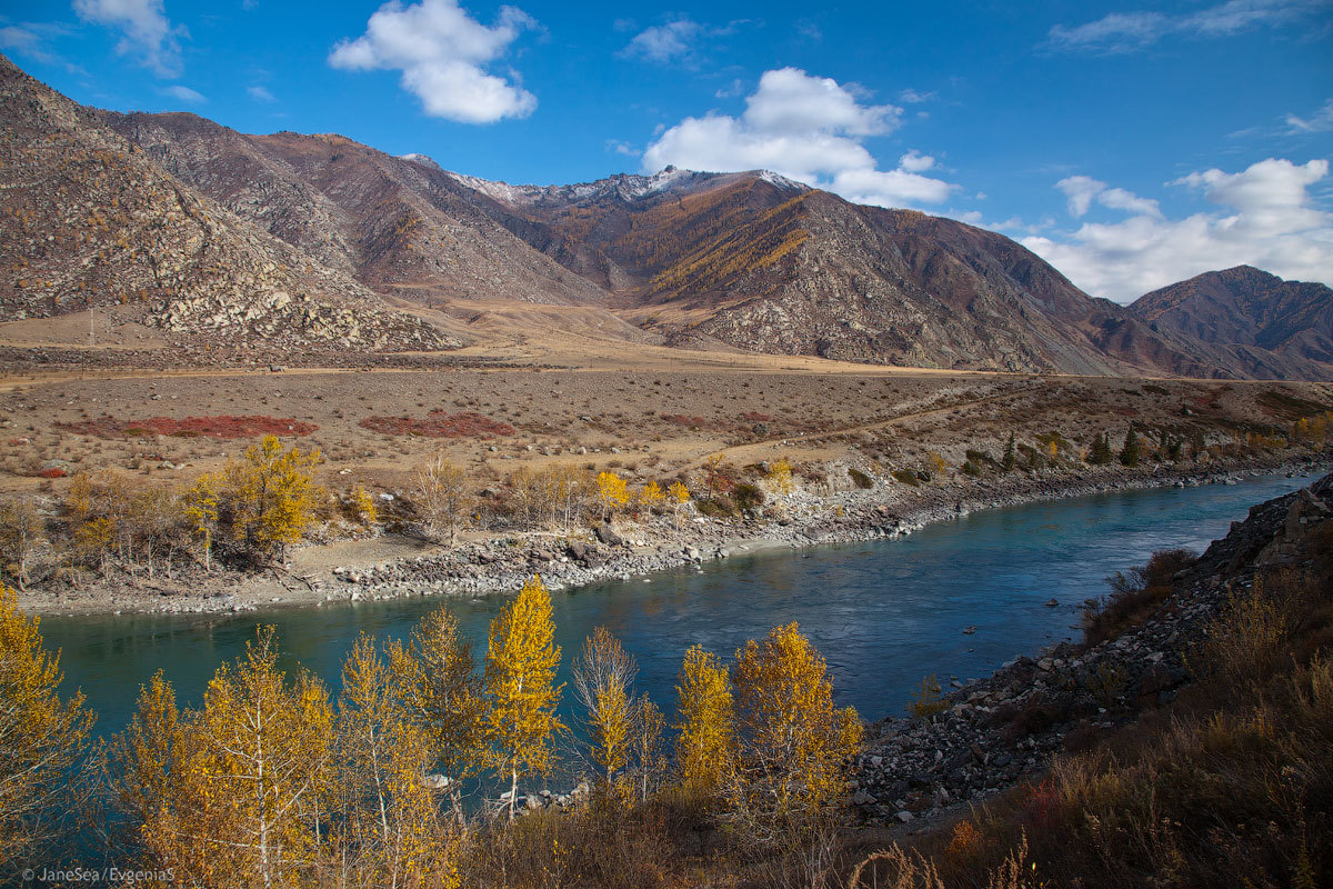 Another Planet or Altai is not for everyone. - My, Altai, Mountain Altai, Road trip, Longpost, Longtext, Russia, Travels, Altai Republic