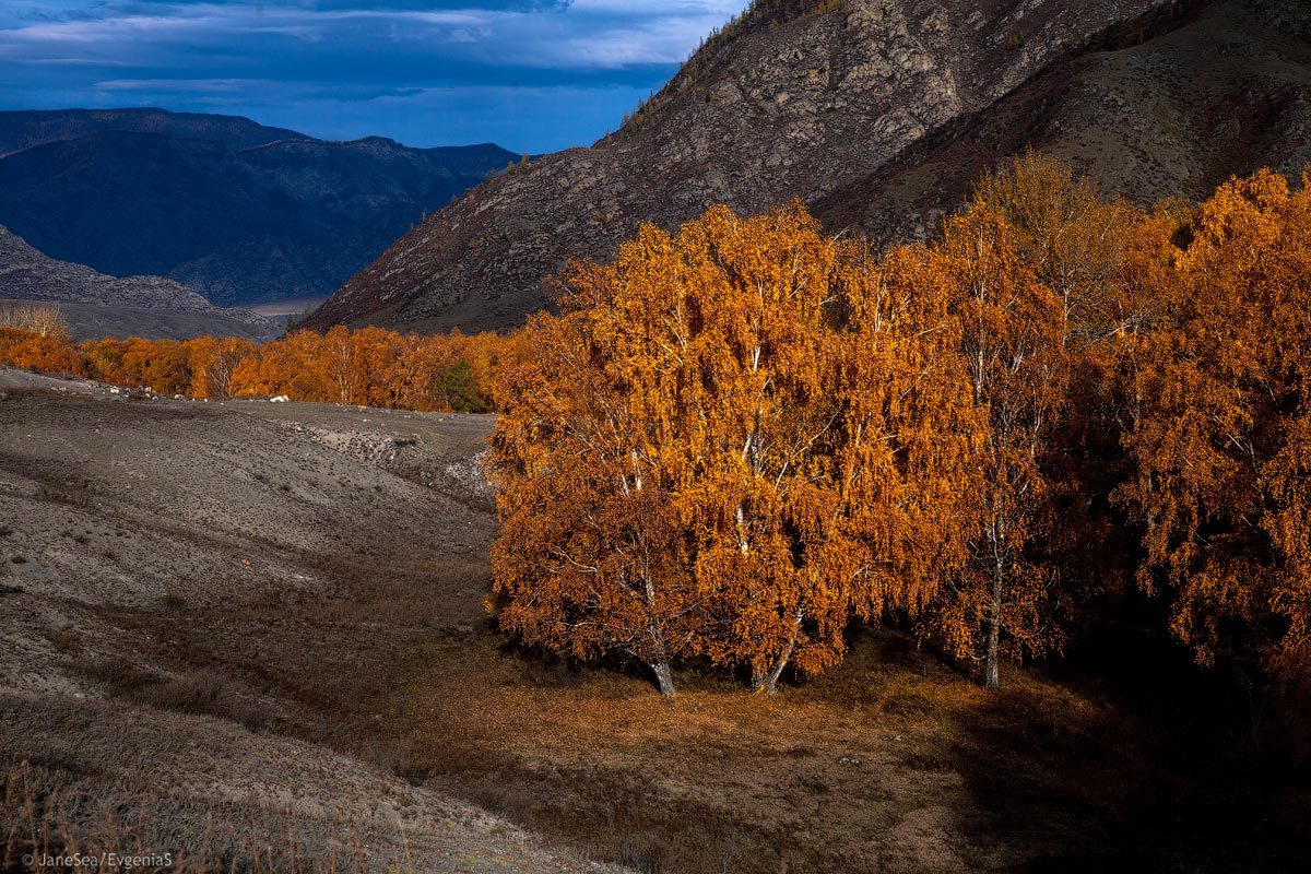 Another Planet or Altai is not for everyone. - My, Altai, Mountain Altai, Road trip, Longpost, Longtext, Russia, Travels, Altai Republic