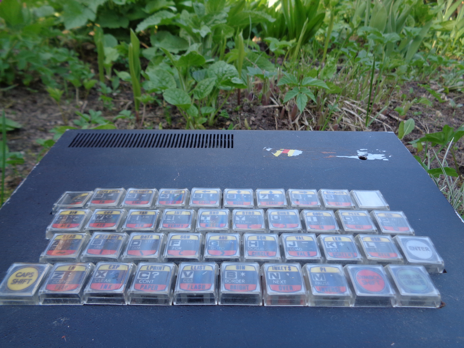 My first friend - My, Zx spectrum, Computer, Dacha, Childhood, Summer, Nostalgia, Good, Dandy Games