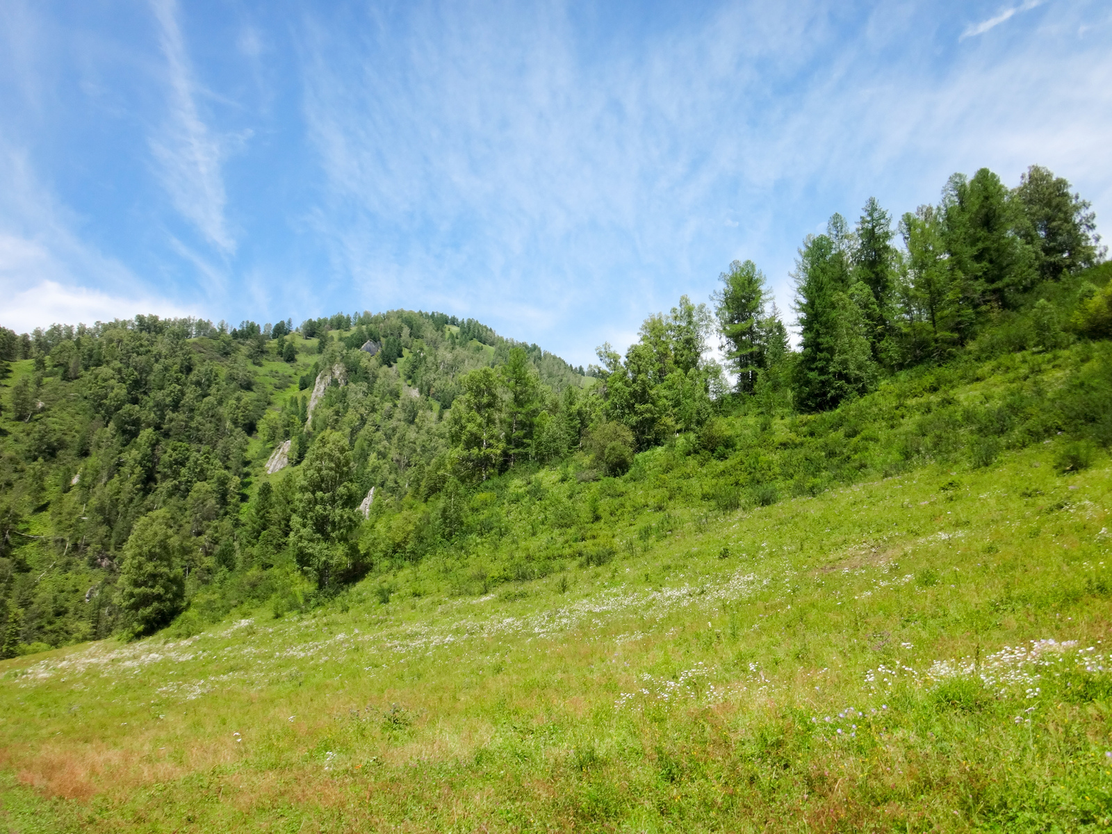 Horseback riding in Altai. - My, Mountain Altai, Horses, Hike, The photo, Longpost, Altai Republic