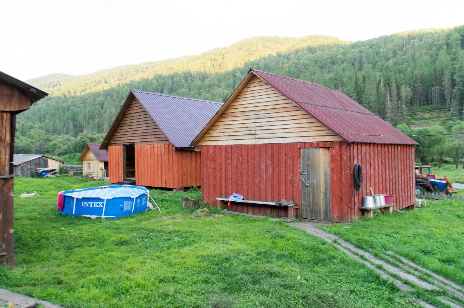 Horseback riding in Altai. - My, Mountain Altai, Horses, Hike, The photo, Longpost, Altai Republic