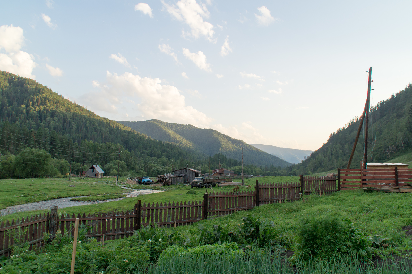 Horseback riding in Altai. - My, Mountain Altai, Horses, Hike, The photo, Longpost, Altai Republic