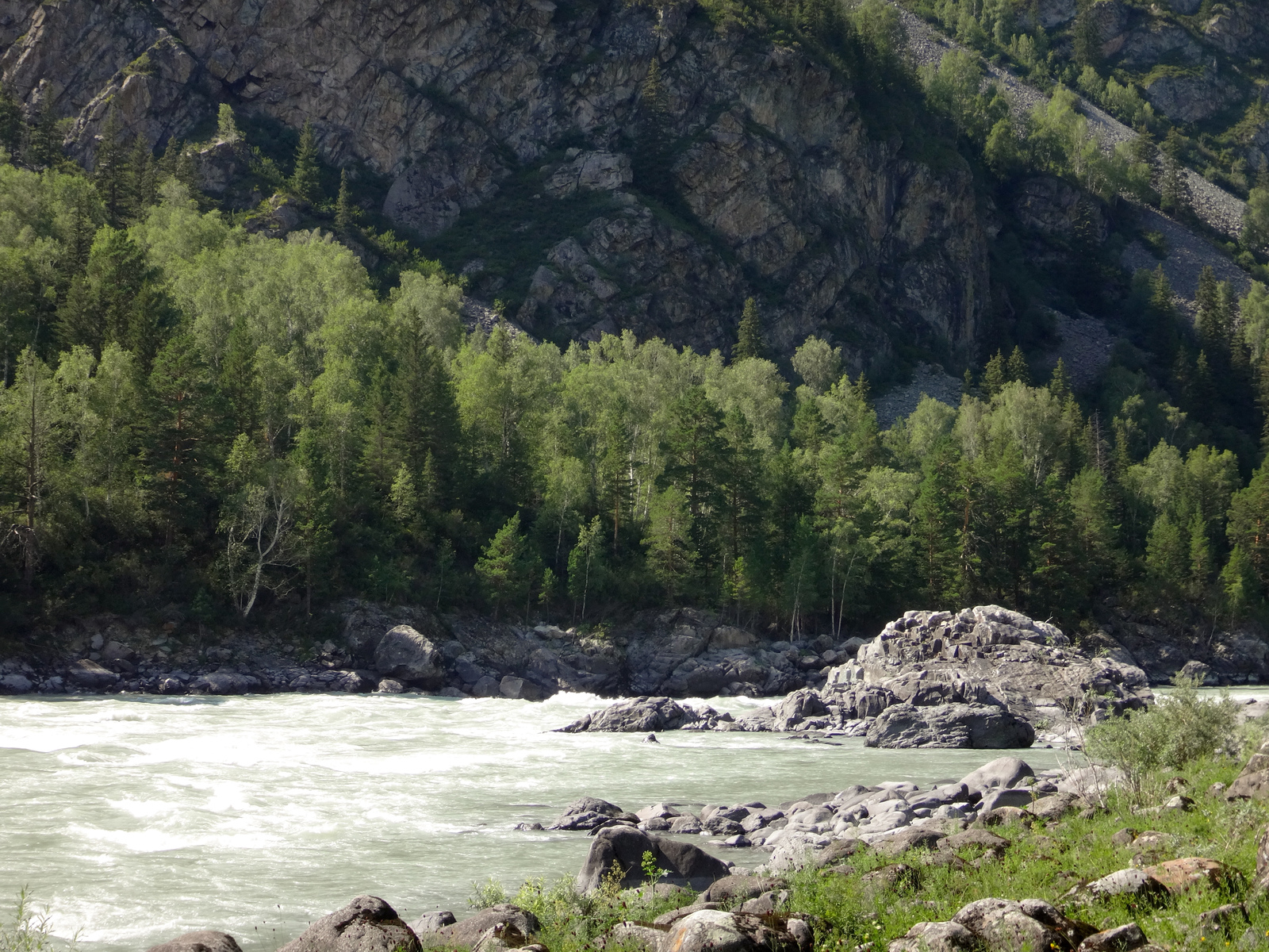 Horseback riding in Altai. - My, Mountain Altai, Horses, Hike, The photo, Longpost, Altai Republic