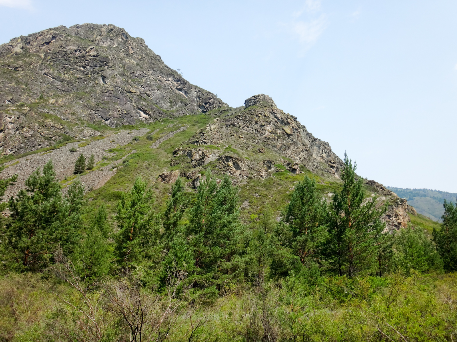 Horseback riding in Altai. - My, Hike, Mountain Altai, Horses, The photo, Longpost, Altai Republic