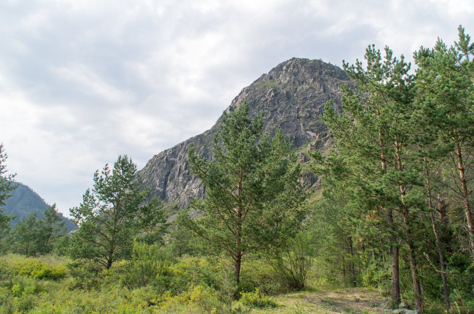 Horseback riding in Altai. - My, Hike, Mountain Altai, Horses, The photo, Longpost, Altai Republic