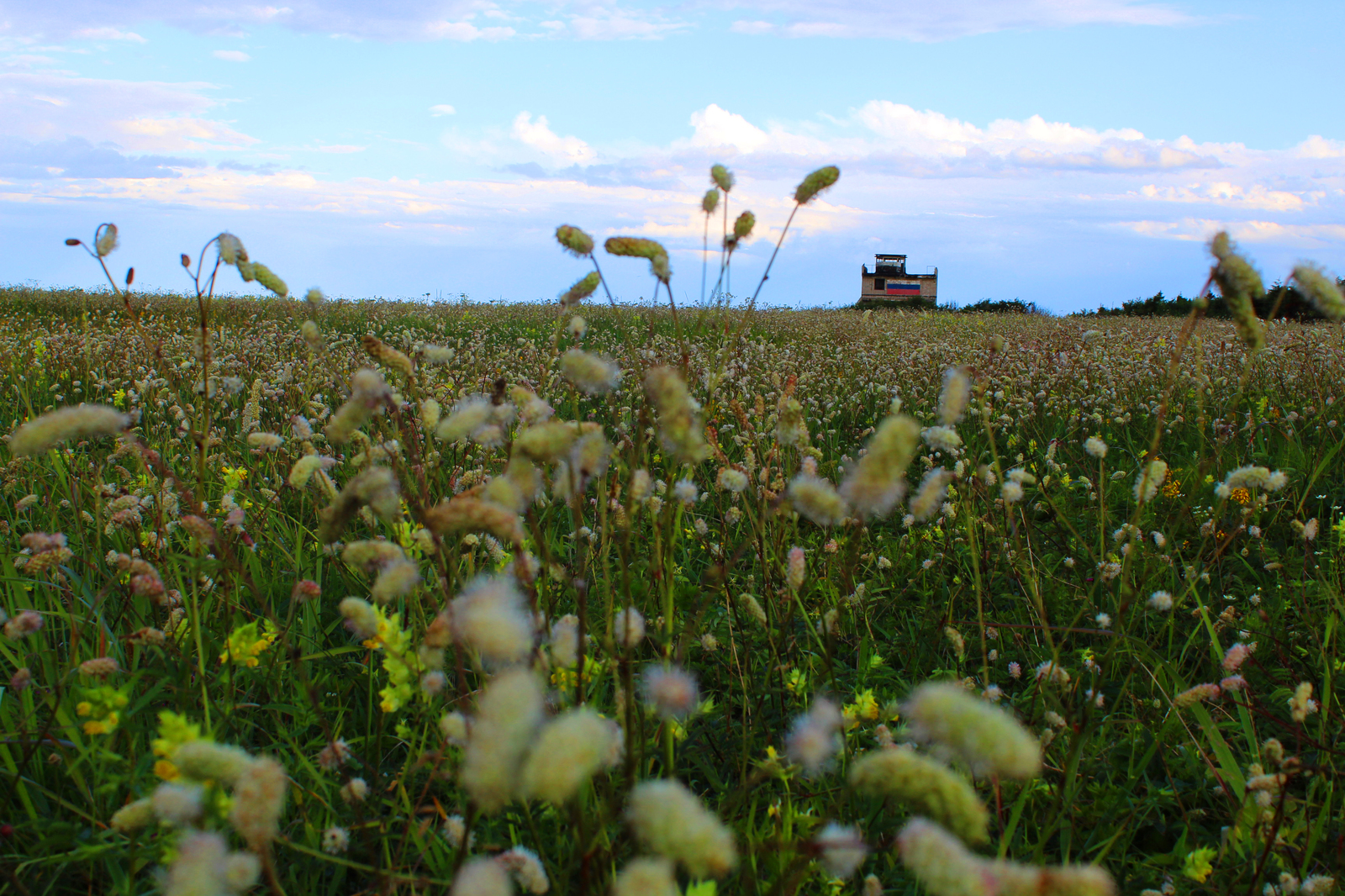 Nature of the Tatar Strait - My, Nature, The nature of Russia, Tatar Strait, Longpost