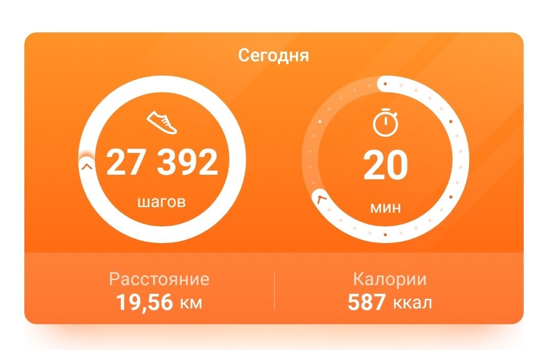 Working day - Working shift, Pedometer