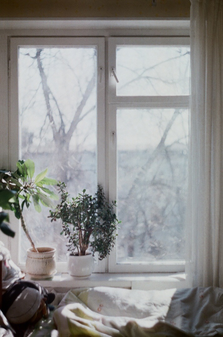 Жизнью в окнах живут дома. Открытое окно зимой. Вид из окна зима. Вид из окна зимой. Зима открыто окно.