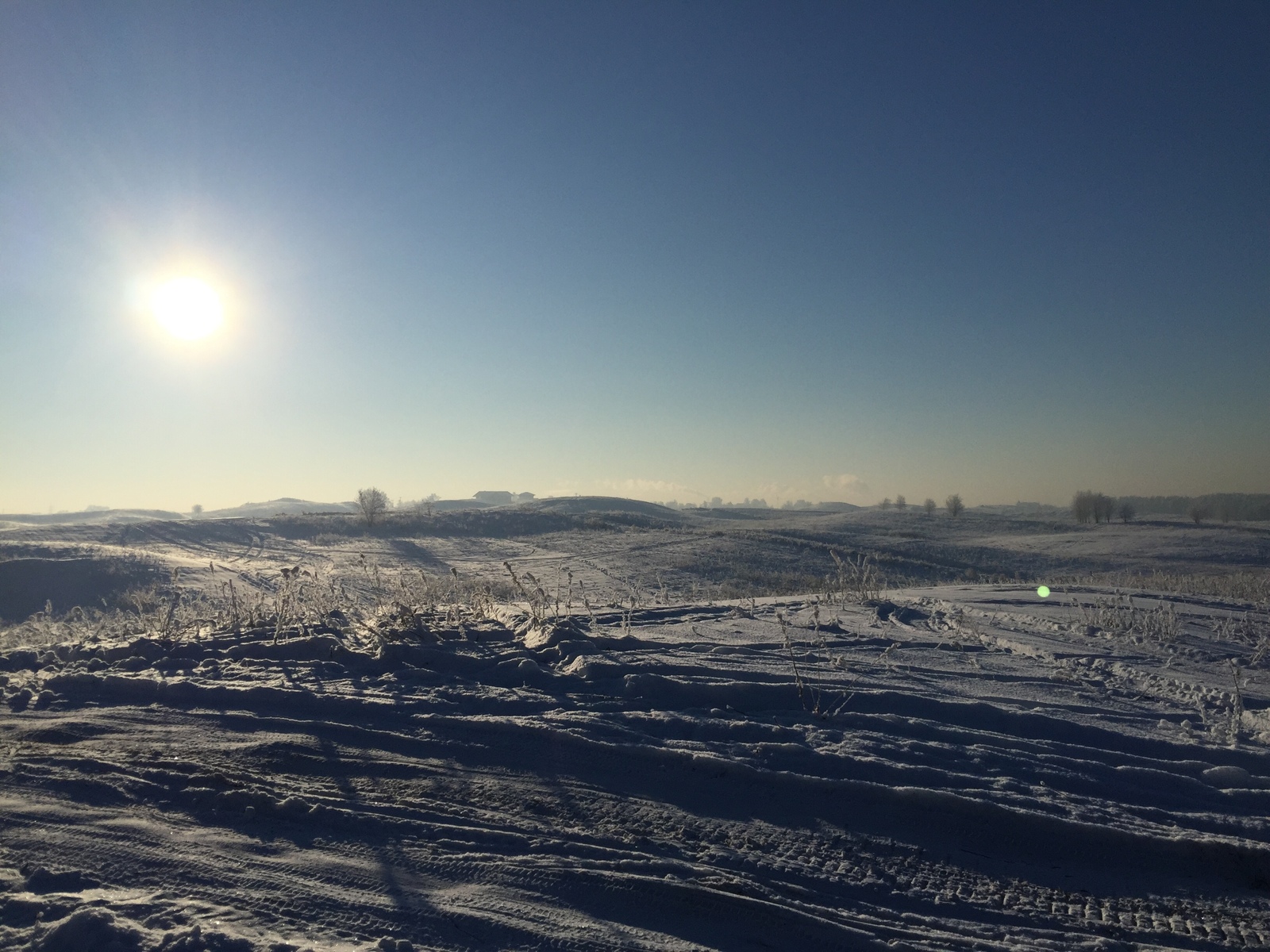 This amazing winter! - The photo, Winter, Longpost, Nature, The park