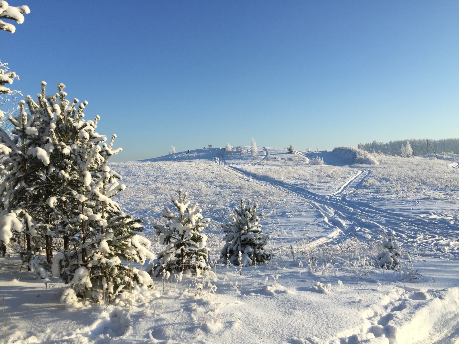 This amazing winter! - The photo, Winter, Longpost, Nature, The park