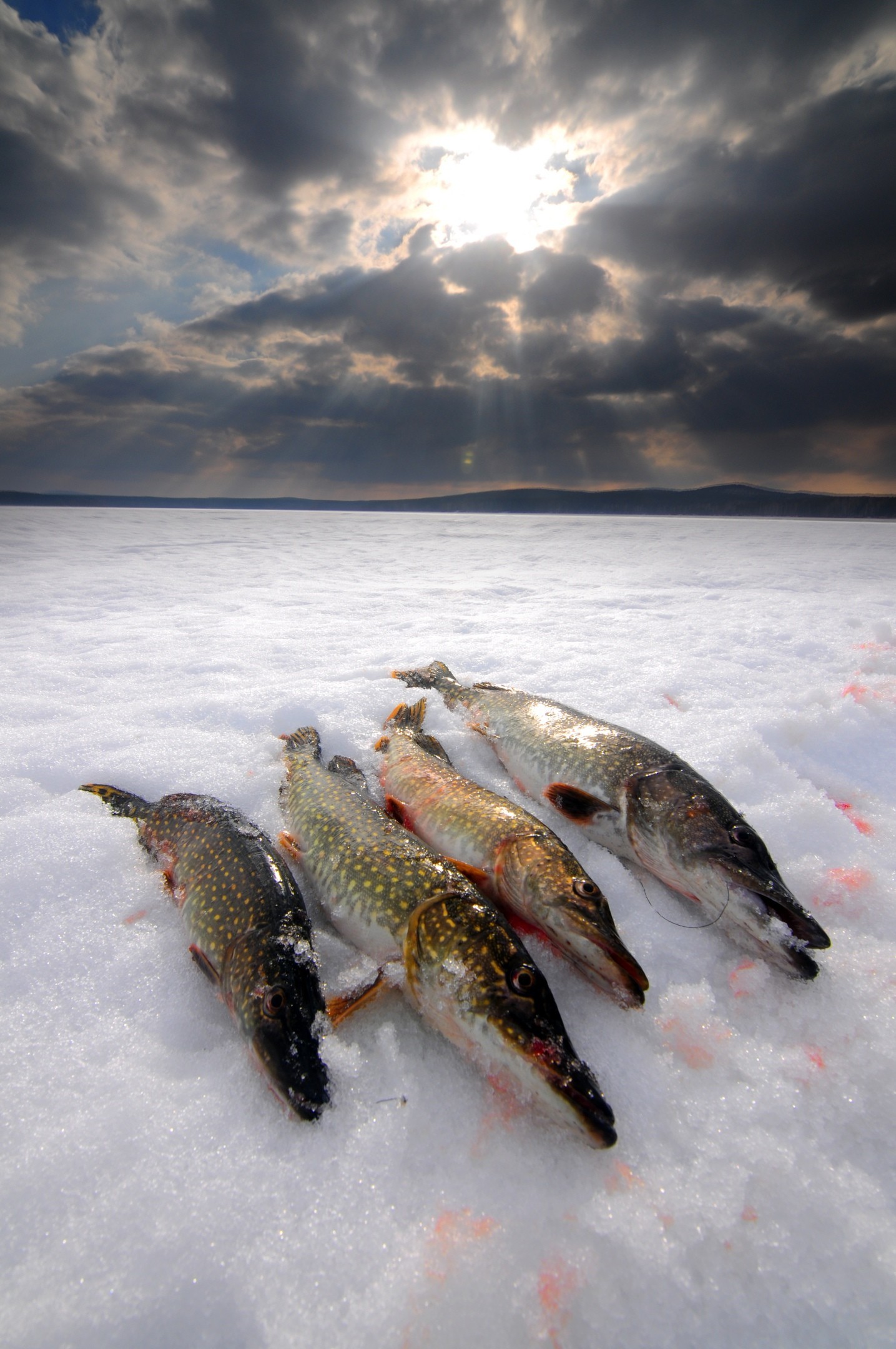 Good morning! - Fishing, Pike, Southern Urals