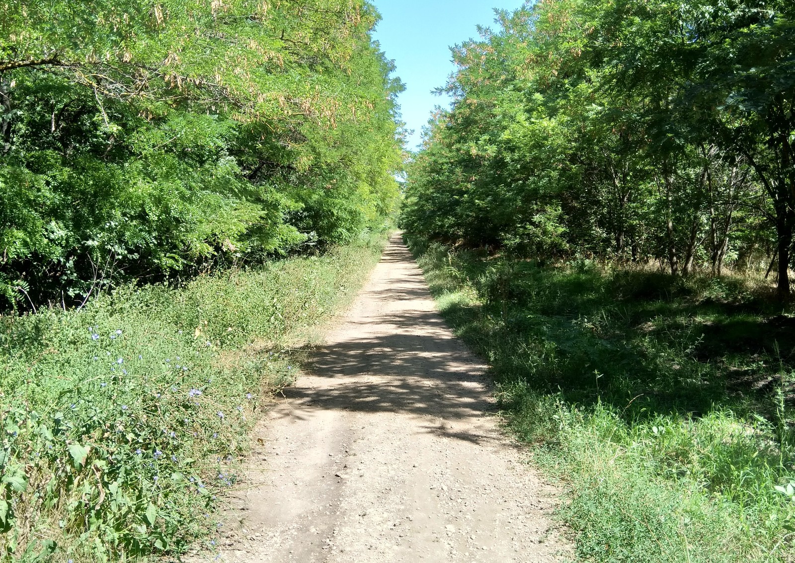 Hiking in Rostov, part 3 - Hike, Rostov-on-Don, Longpost