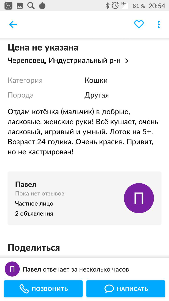 Знакомая искала котёнка, наткнулась на это. - Авито, Объявление, Кастрация, Кот, Длиннопост