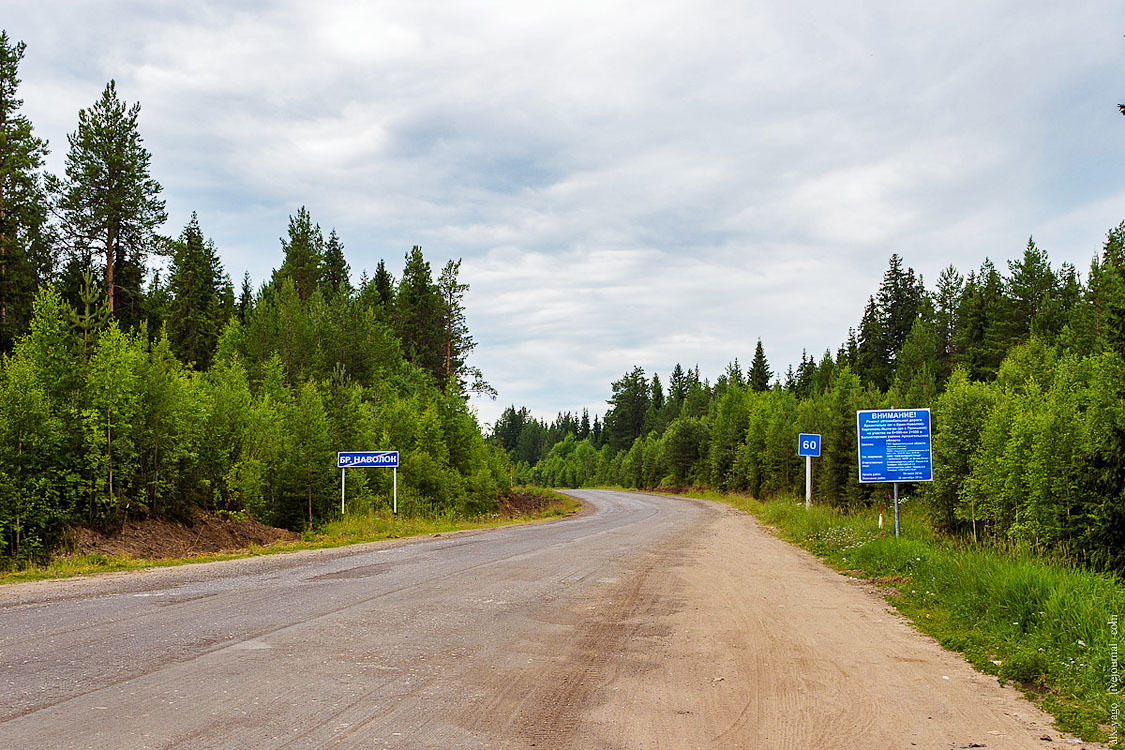 Погода в поселке двинской холмогорского. Станция Холмогорская Архангельской области. Станция Холмогорская Архангельская область Плесецкий район. Посёлок светлый Архангельская область Холмогорский район. ЖД станция Холмогорская.